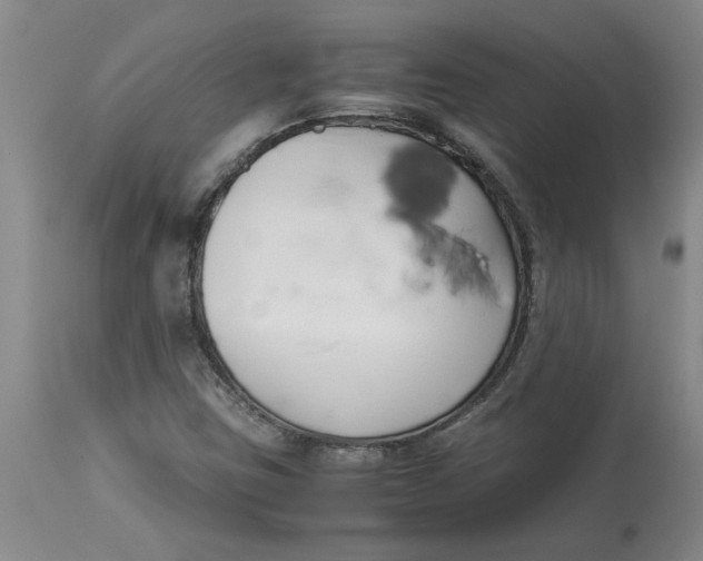 X0000113171403200909251406