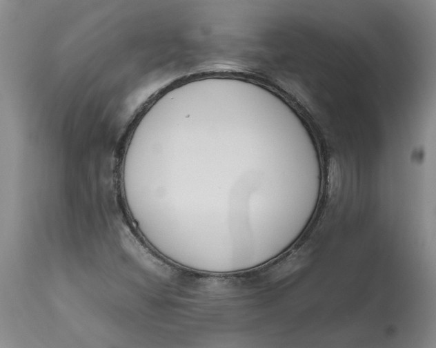 X0000113171404200909251406