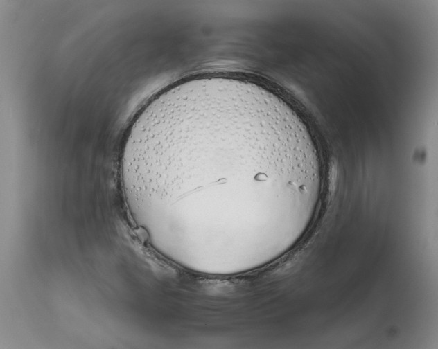 X0000113171405200909251406