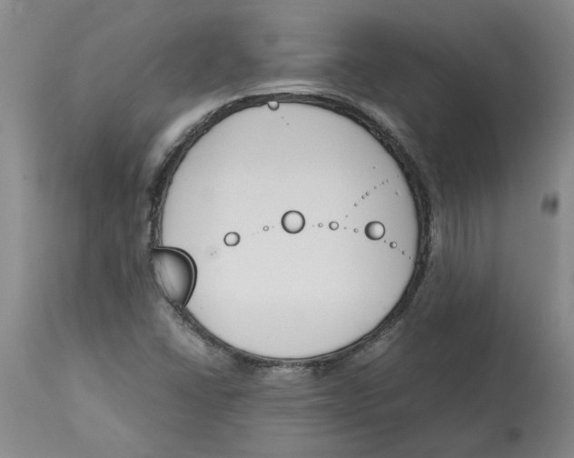 X0000113171406200909251406