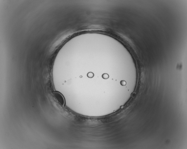 X0000113171407200909251406