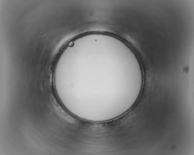 X0000113171408200909251406