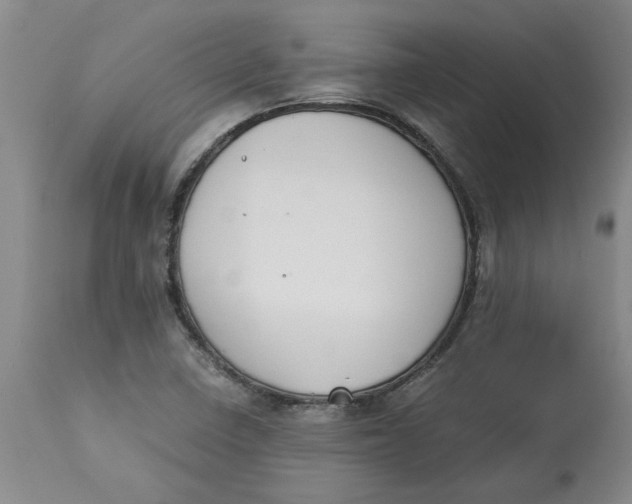 X0000113171410200909251407