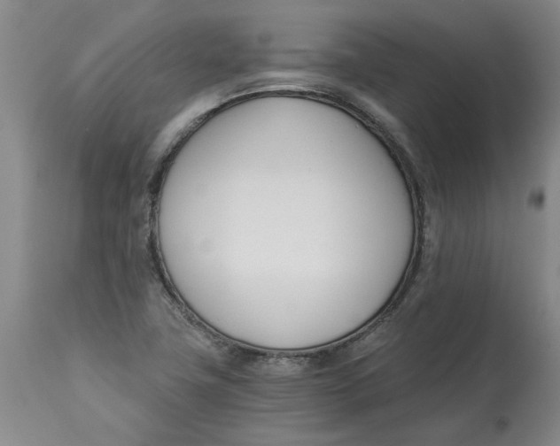 X0000113171411200909251407