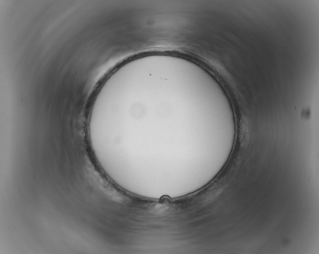 X0000113171412200909251407