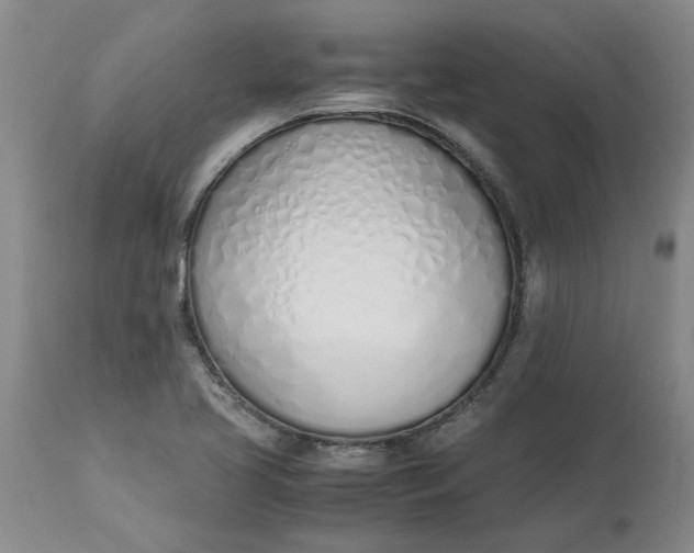 X0000113171413200909251407