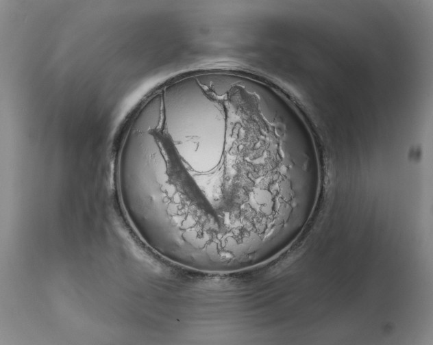 X0000113171414200909251407