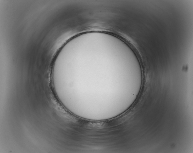 X0000113171415200909251407