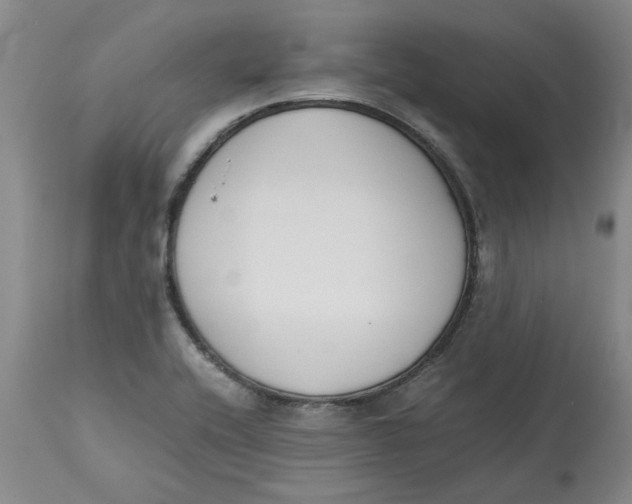 X0000113171416200909251407