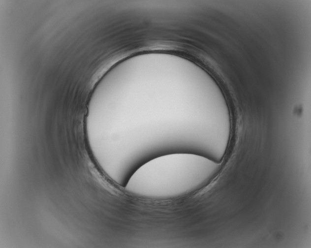 X0000113171417200909251407