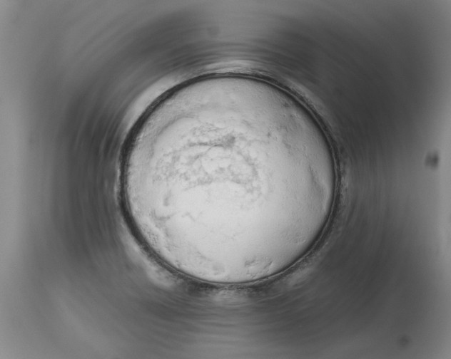 X0000113171418200909251407