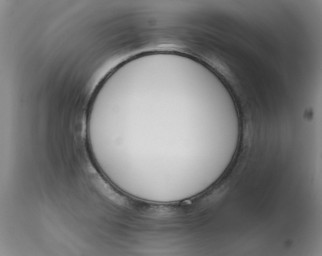 X0000113171420200909251407