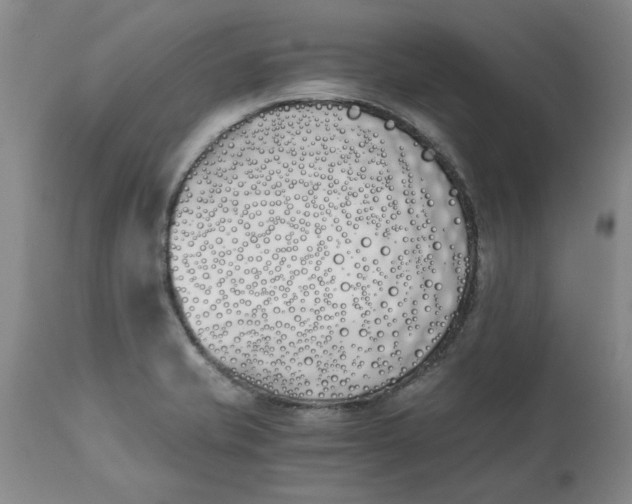 X0000113171421200909251407