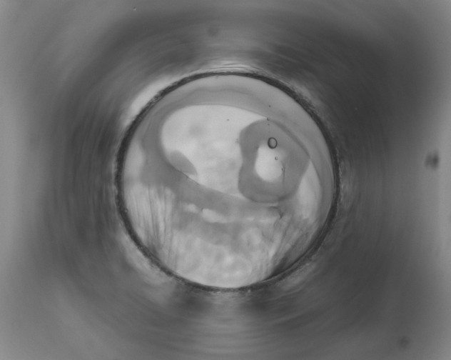 X0000113171422200909251407