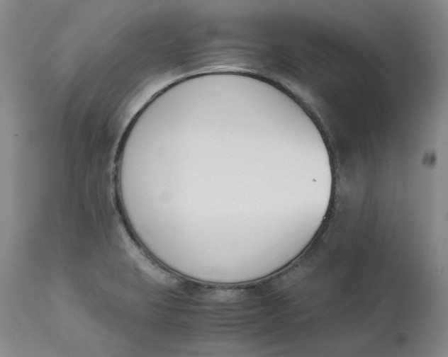 X0000113171423200909251407