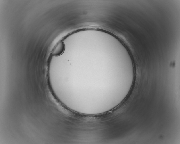 X0000113171424200909251407