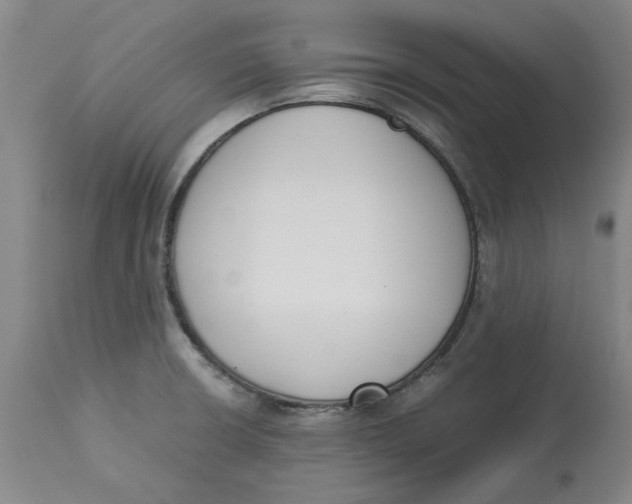 X0000113171426200909251407