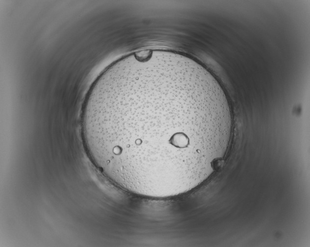 X0000113171427200909251407