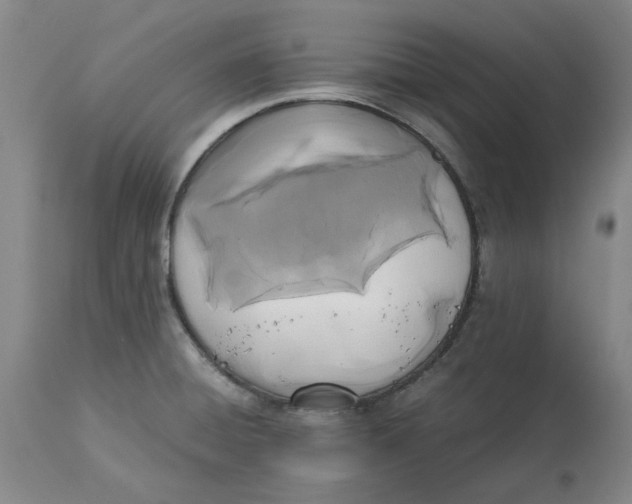 X0000113171428200909251407