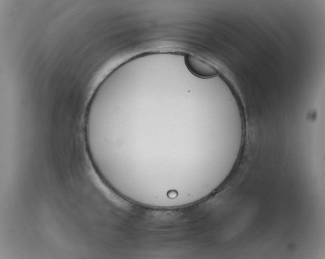 X0000113171429200909251407