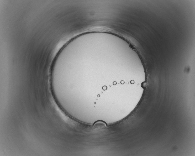 X0000113171430200909251407