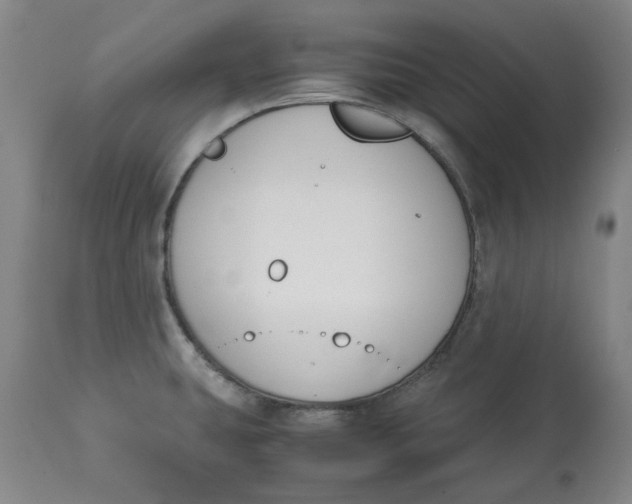 X0000113171431200909251407