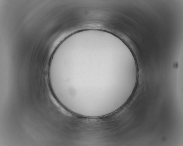 X0000113171432200909251407