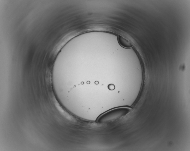 X0000113171433200909251407