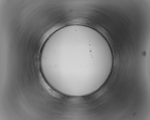 X0000113171434200909251407