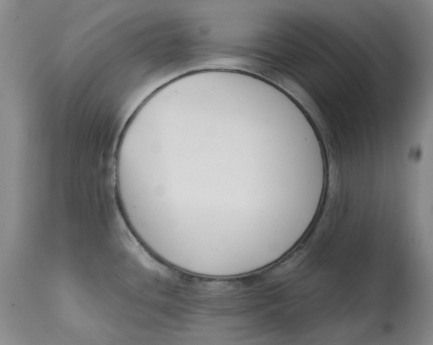 X0000113171436200909251407