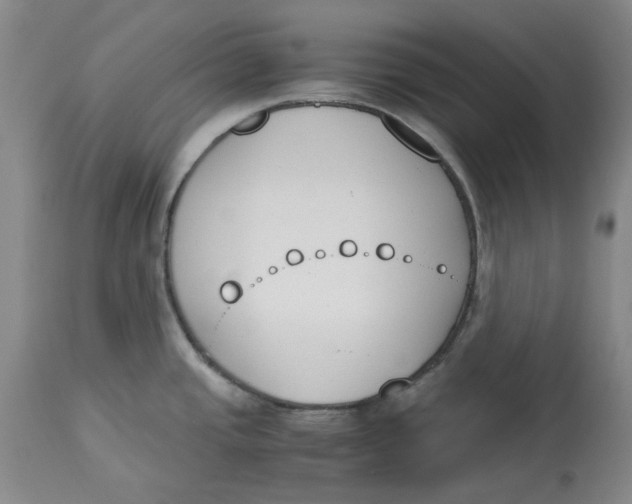 X0000113171437200909251407