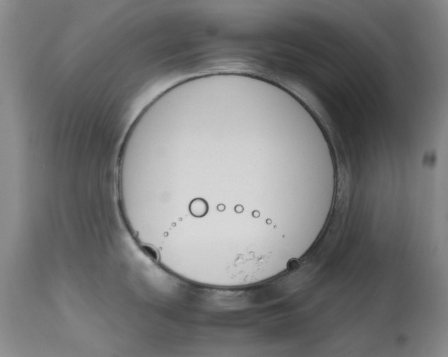 X0000113171439200909251407