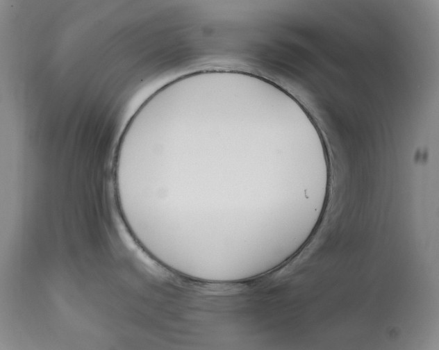 X0000113171440200909251407