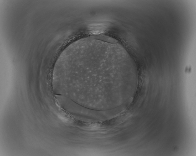 X0000113171441200909251406