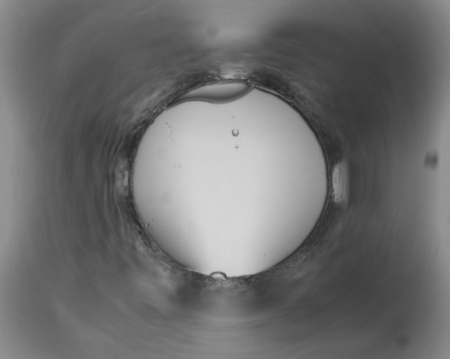 X0000113171443200909251406