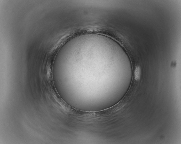 X0000113171444200909251406