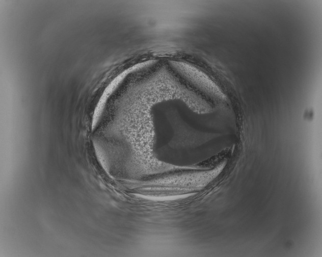 X0000113171445200909251406