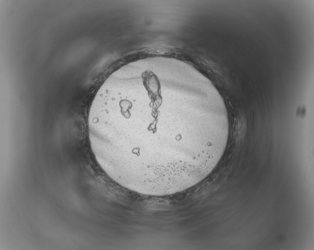 X0000113171446200909251406