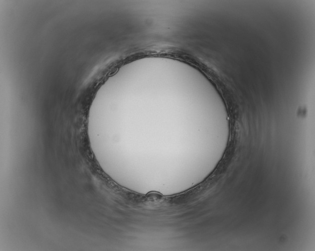 X0000113171447200909251406