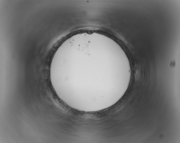 X0000113171448200909251406