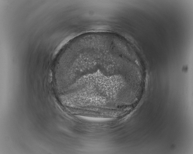 X0000113171449200909251406