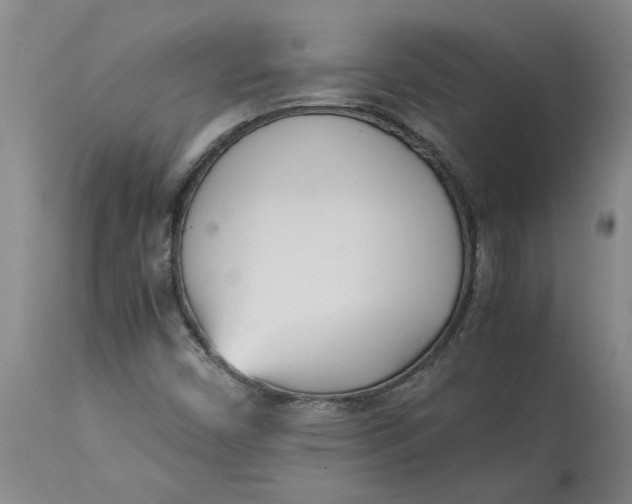 X0000113171450200909251406