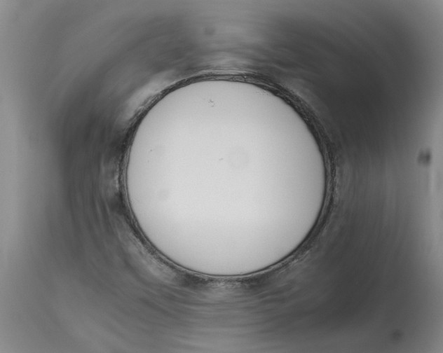 X0000113171451200909251406