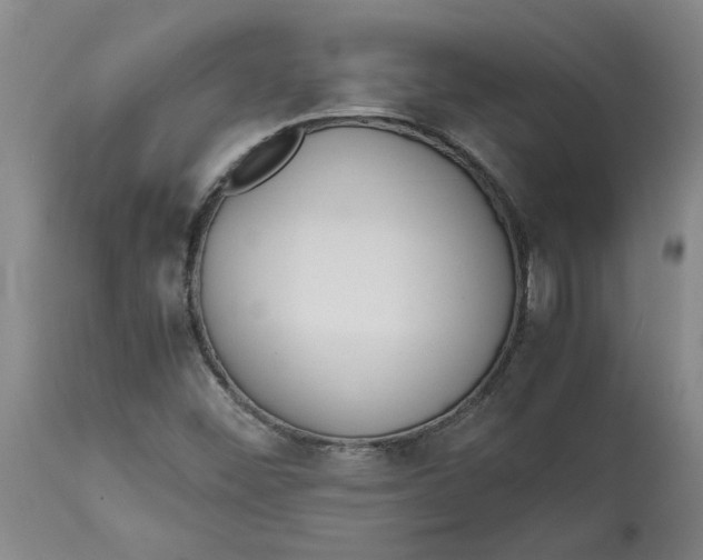 X0000113171452200909251406