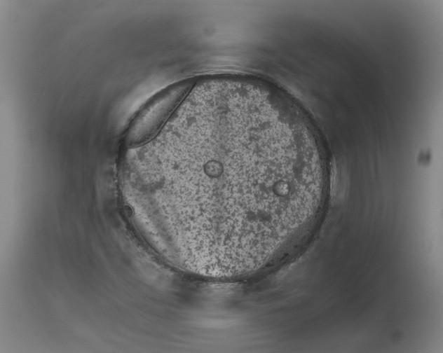 X0000113171453200909251406