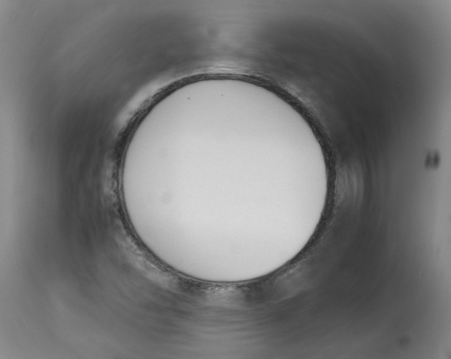 X0000113171454200909251406