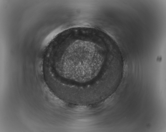 X0000113171455200909251406