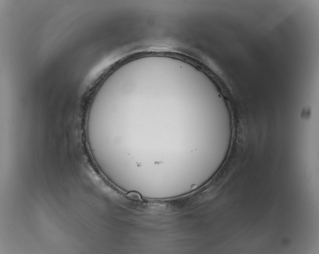 X0000113171456200909251406