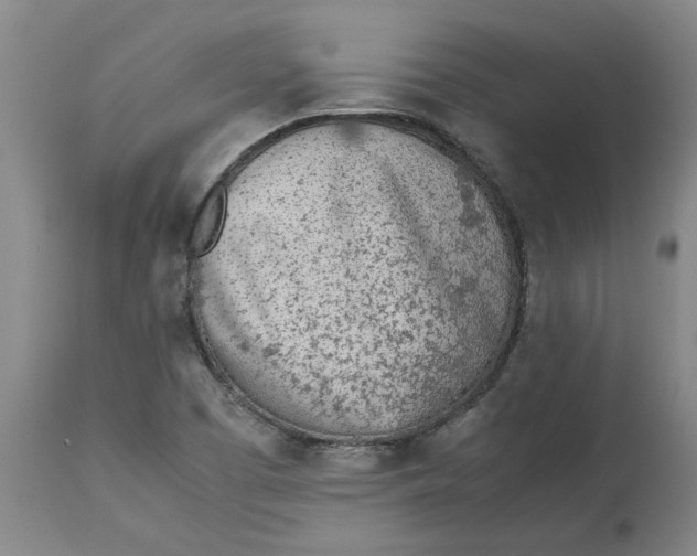 X0000113171457200909251406