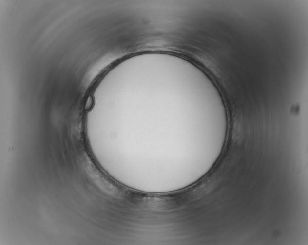 X0000113171458200909251406